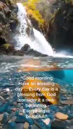 Funny Video Clips # 39