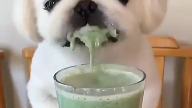 Hora de toma vitamina pra ficar fortinho