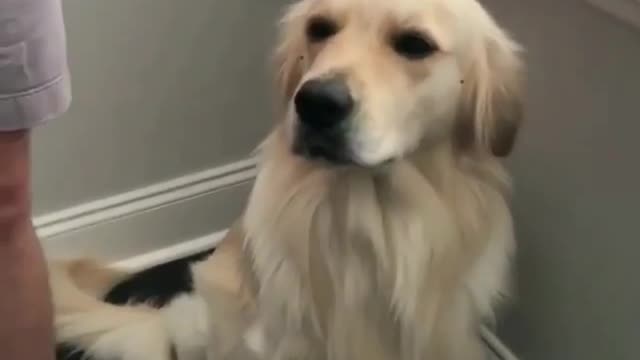 This massager is good