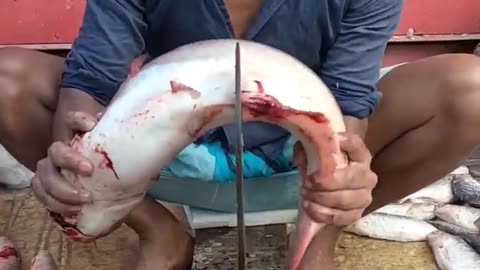 Amazing Pangash Fish Cutting Skill #shorts #ffbd #fish_cutting_bd