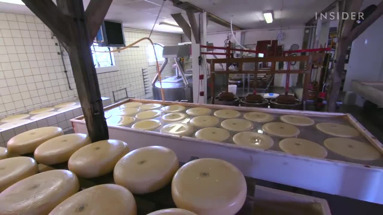 How Dutch Gouda Is Made At A 100-Year-Old Family Farm | Regional Eats | Food Insider