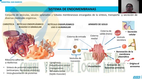 SEMESTRAL ADUNI 2023 | Semana 03 | Biología