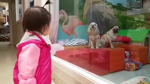 Baby looking at puppy