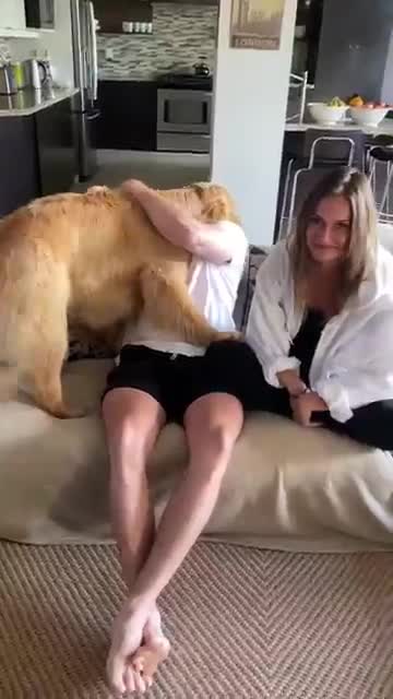 Dog Is Jealous Of Brothers Girlfriend