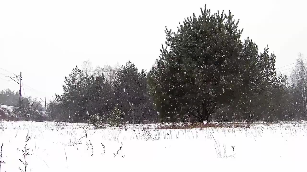 Beautiful Nature Snowfall