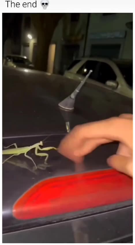 When you think you're a kung fu master… until the bug lands on your hand ! 🐞💥😂