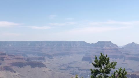 Amazing view of grand canyon