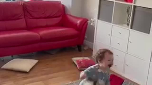 The Ultimate Secret Of A TODDLER PLAYING WITH DOG