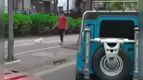 Expensive video of the kids