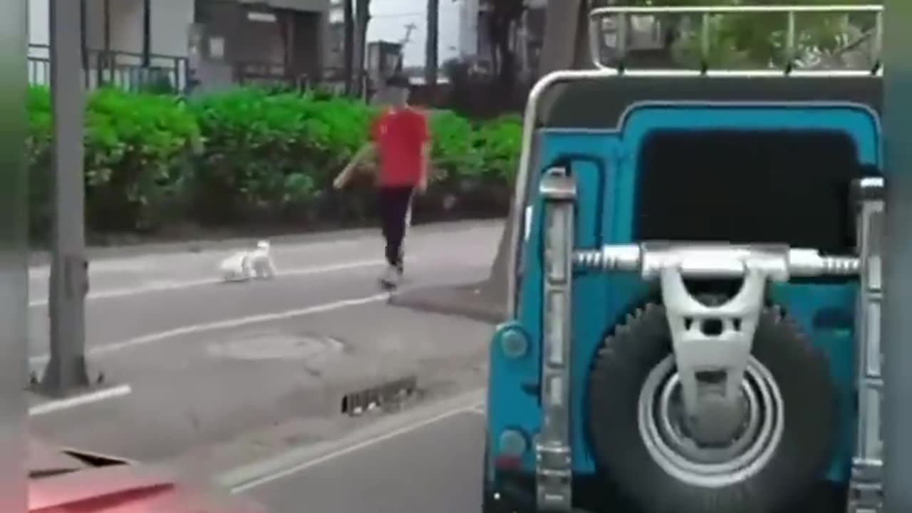 Expensive video of the kids