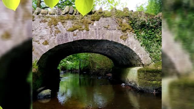 Parkanur Forest Park, Northern Ireland slideshow