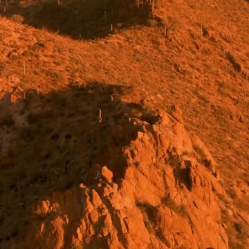 033 In numerology, Life Path 26 slash 8 is where ambition meets a profound sense of duty, channeling