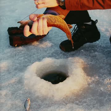Amazing Ice Fishing Catch Big Fish - Fastest Big Fish Fishing Skill Through The Ice | Subscribe us