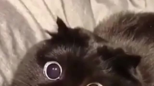 Look how is this pussy looking