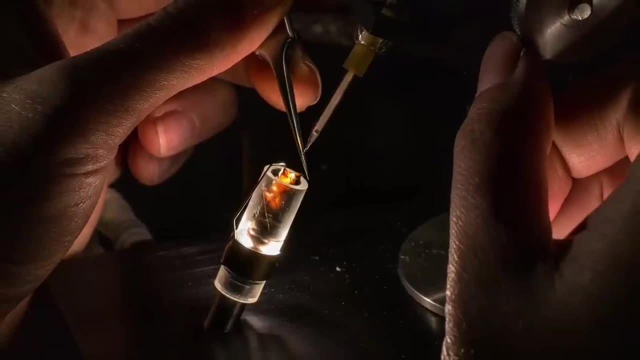 Anand Varma Captures a Honey Bee story |Animal Video|