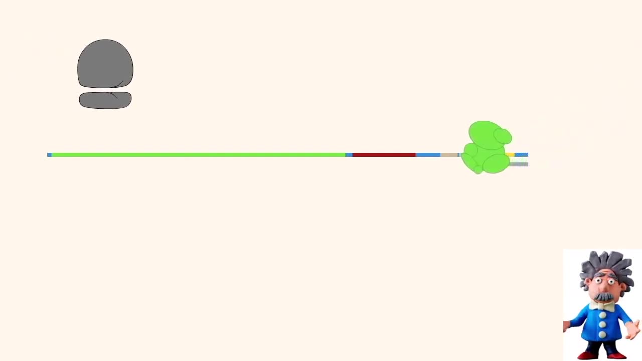 Coronavirus Replication Cycle I Animated Tutorial