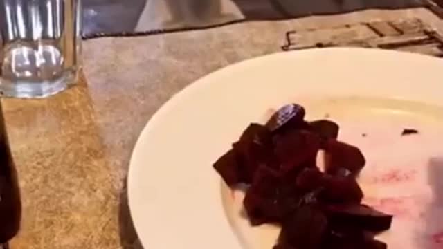 Hilarious hungry animals 🤣😍😍