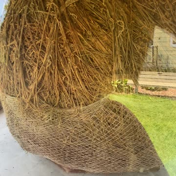 Largest Twine Ball made by one man in Darwin, MN