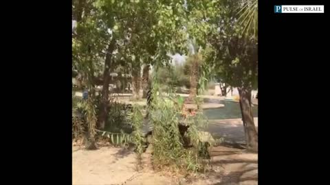 An oasis in Israel!!!