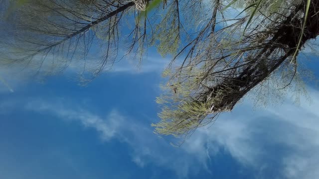 Kayaking down the Verde River, last video before I go over the falls