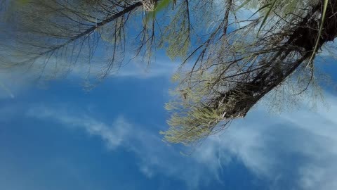 Kayaking down the Verde River, last video before I go over the falls