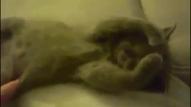 Tengo sueño