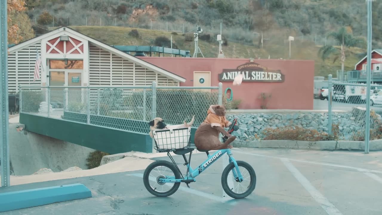 https://www.youtube.com/watch?v=qW-KIjHjjHM