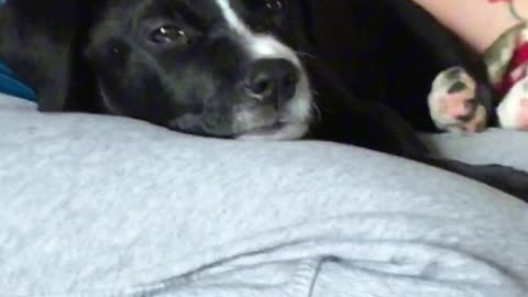 Just a baby