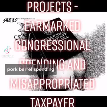 pork barrel projects, earmarking, and misappropriated taxpayer resources.