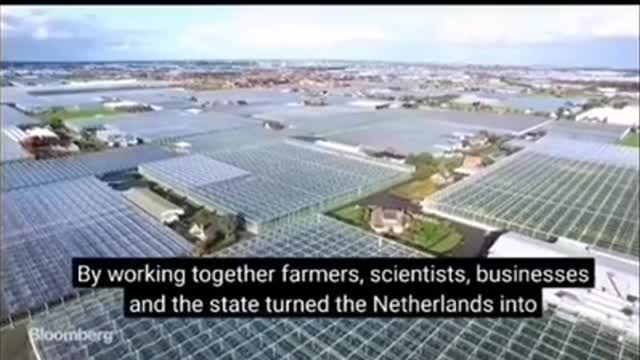 Dutch farmers