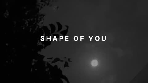 Shape of you