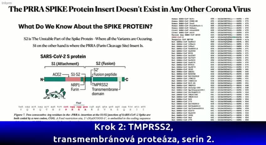 Dr Richard M Fleming PhD, Confirms The presence Of HIV In The Spike Protein.