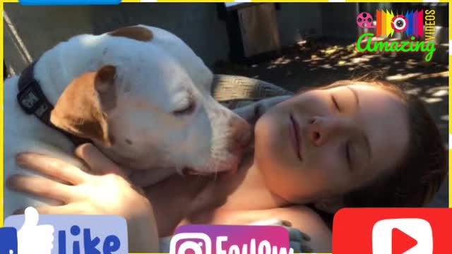 WoW Amazing🤩Dog🐕‍🦺Lover🐕Part 01💋Kissing Dog🐶Video🦮Animal😍Dog Lover🐕Amazing🧐Shorts😳Reels📢Videos😁📸