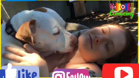 WoW Amazing🤩Dog🐕‍🦺Lover🐕Part 01💋Kissing Dog🐶Video🦮Animal😍Dog Lover🐕Amazing🧐Shorts😳Reels📢Videos😁📸