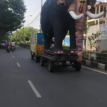 elephant going with its owner