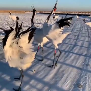 BEAUTIFUL VIDEO,HEARTTOUCHING WORDS,VIRAL,