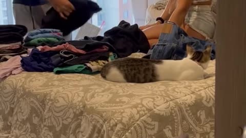 Video viral