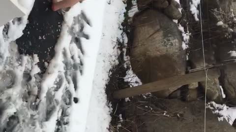 Barefoot Ice Snow challenge