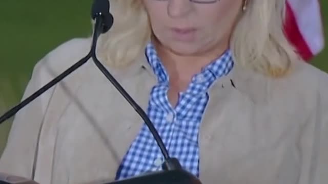 Rep. Liz Cheney losesWyoming primary