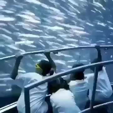 THEY WILL FOOL ALL OF US ON THE ALIEN INVASION NEXT