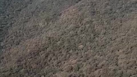 My Friends When They Go On Hiking 😂😂