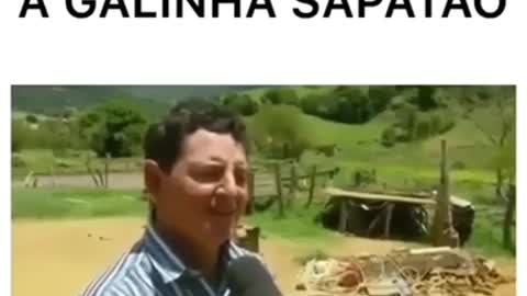 #Status - FUNNY , CHICKEN SAPATÃO , COMEDIA , LEGAL - ( Status for WhatsApp ) 2019