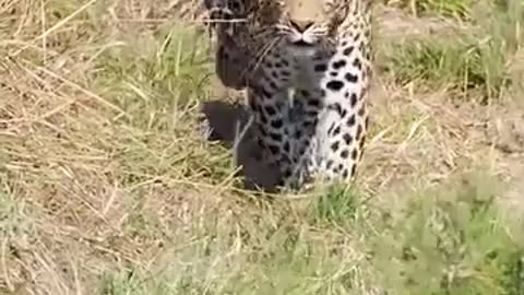 Female line catch the sun
