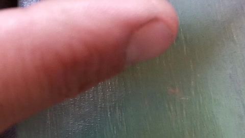 Is your knife sharp or are you just telling yourself that 🤔