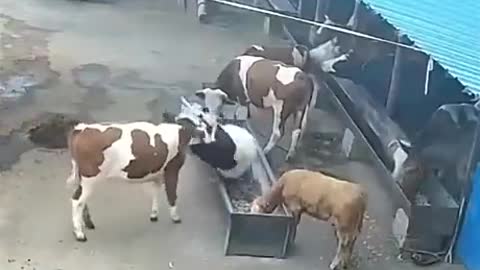 Proof that Karma is real😂