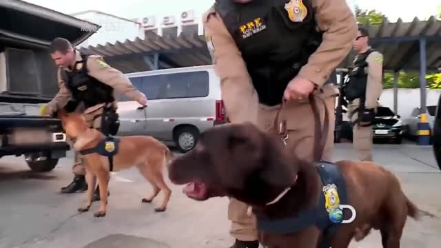 Brazilian police