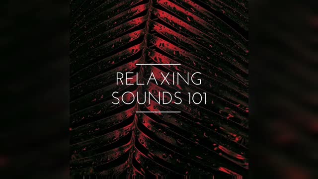Relaxing Sounds 101 #7