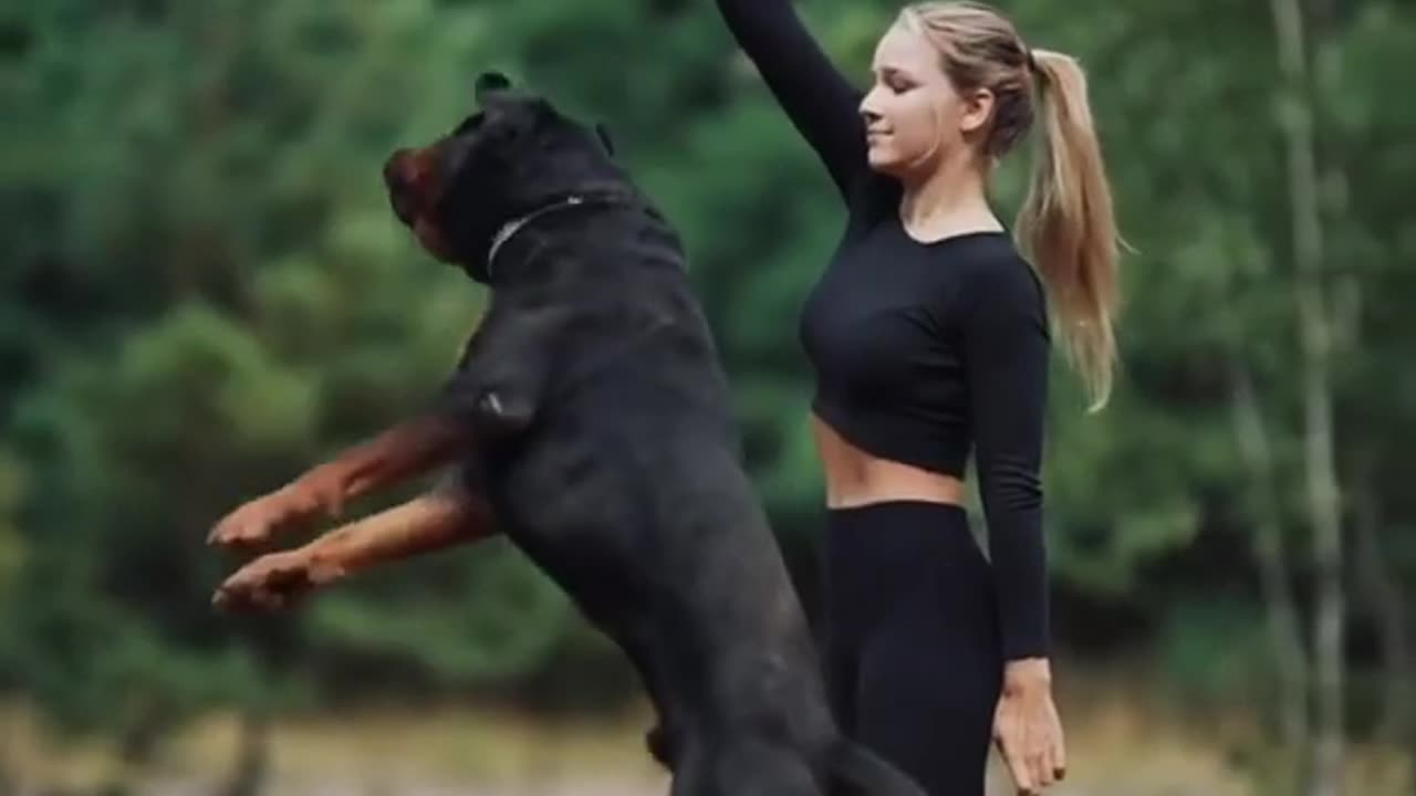 Dog training