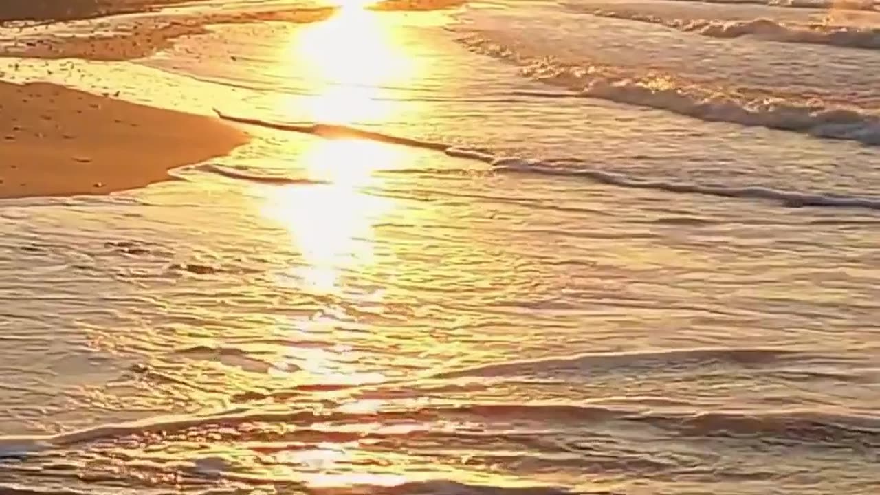 Morning Sun Salutation Meditation for Positive Vibes ☀️ #meditation #positivemindset #shorts