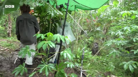 Crew Encounter Some Curious Creatures | Planet Earth III Behind The Scenes | BBC Earth